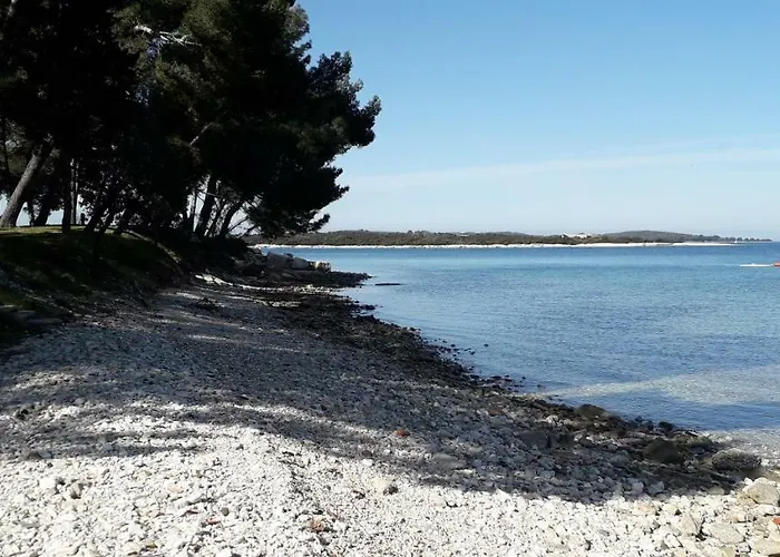 Mobile Cinzia Pula