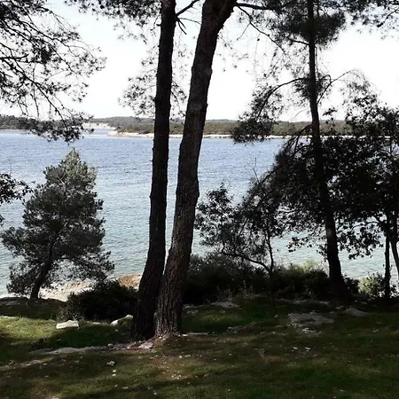 Mobile Cinzia 普拉