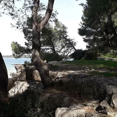 Mobile Cinzia 度假居 普拉