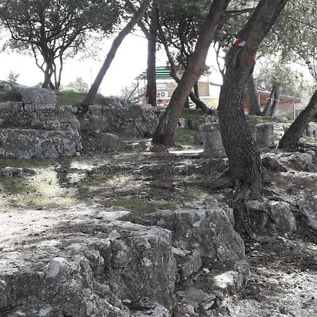 Mobile Cinzia 度假居