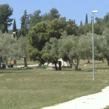 Mobile Cinzia 普拉