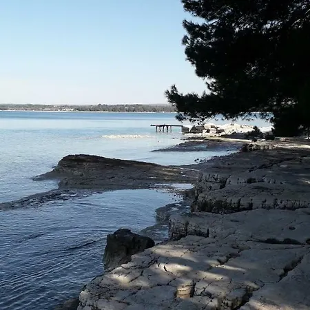 Mobile Cinzia * 普拉