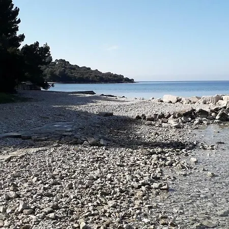 Mobile Cinzia 度假居