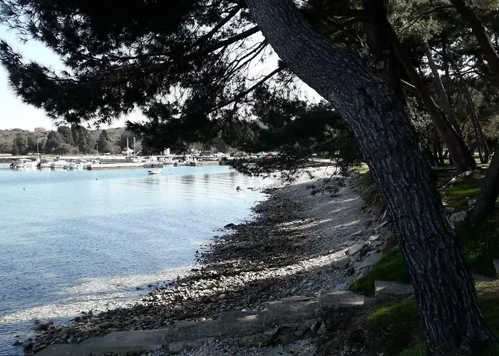 Hébergement de vacances Mobile Cinzia *